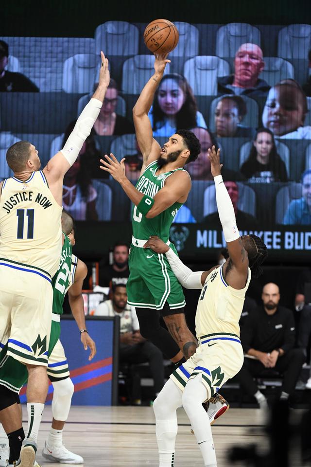 鸡马拉松新 鸡马拉松新