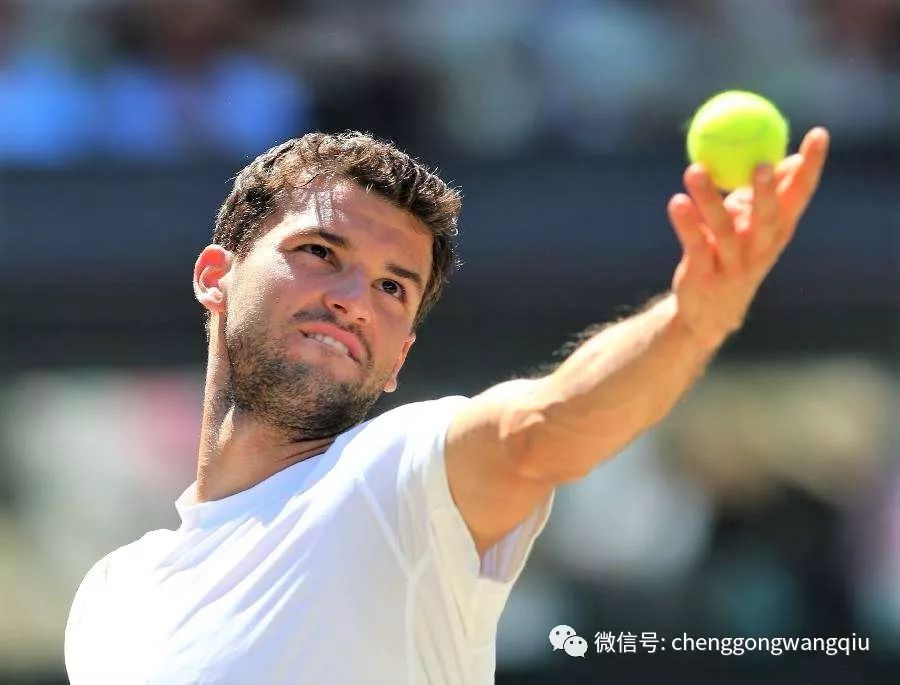 在夏季休赛 在夏季休赛